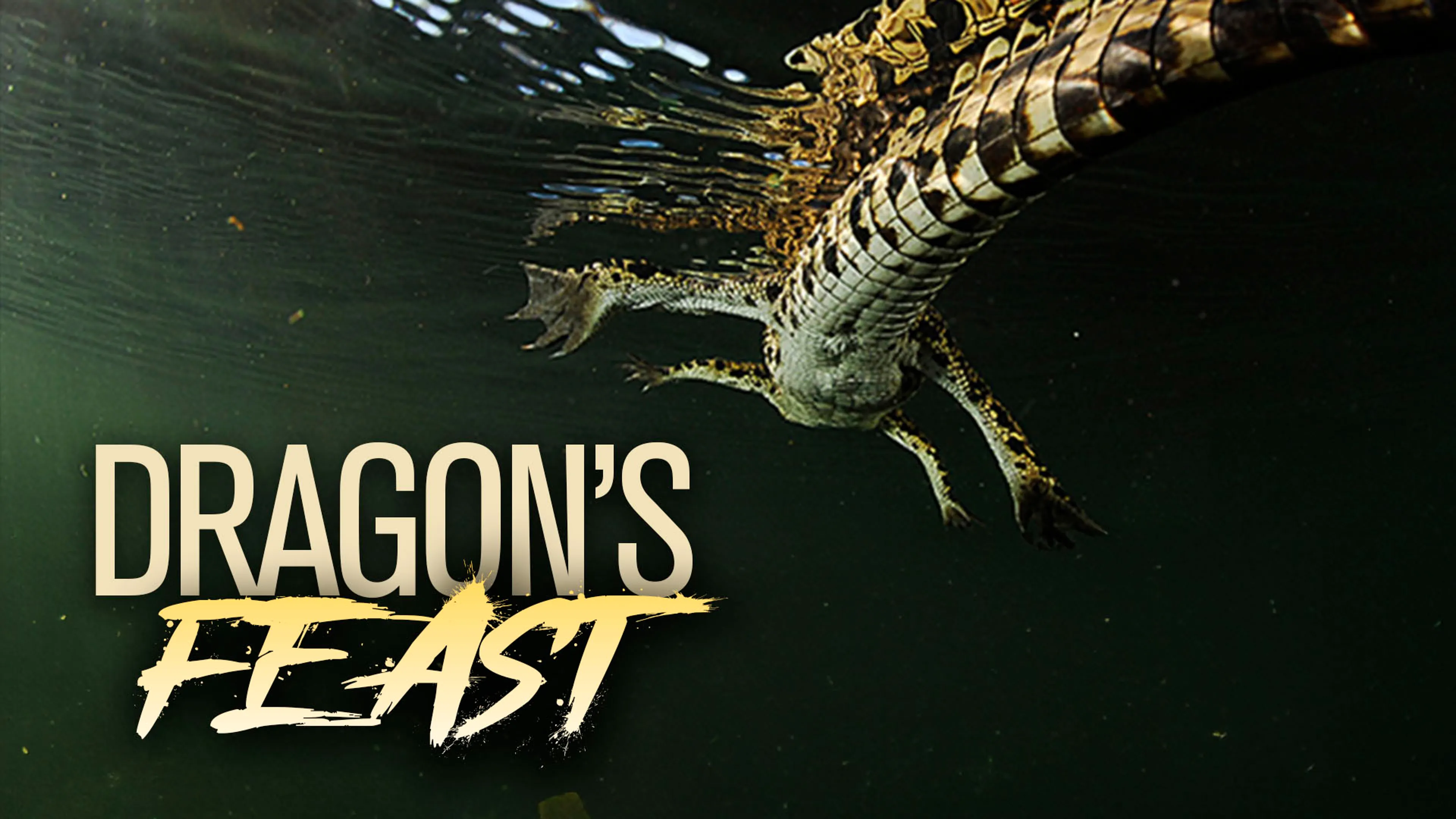 Dragon's Feast poster
